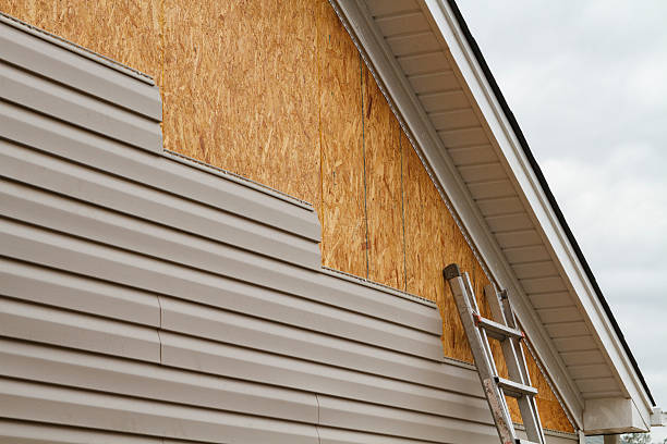 Professional Siding Inspection technician working in Ward, SC
